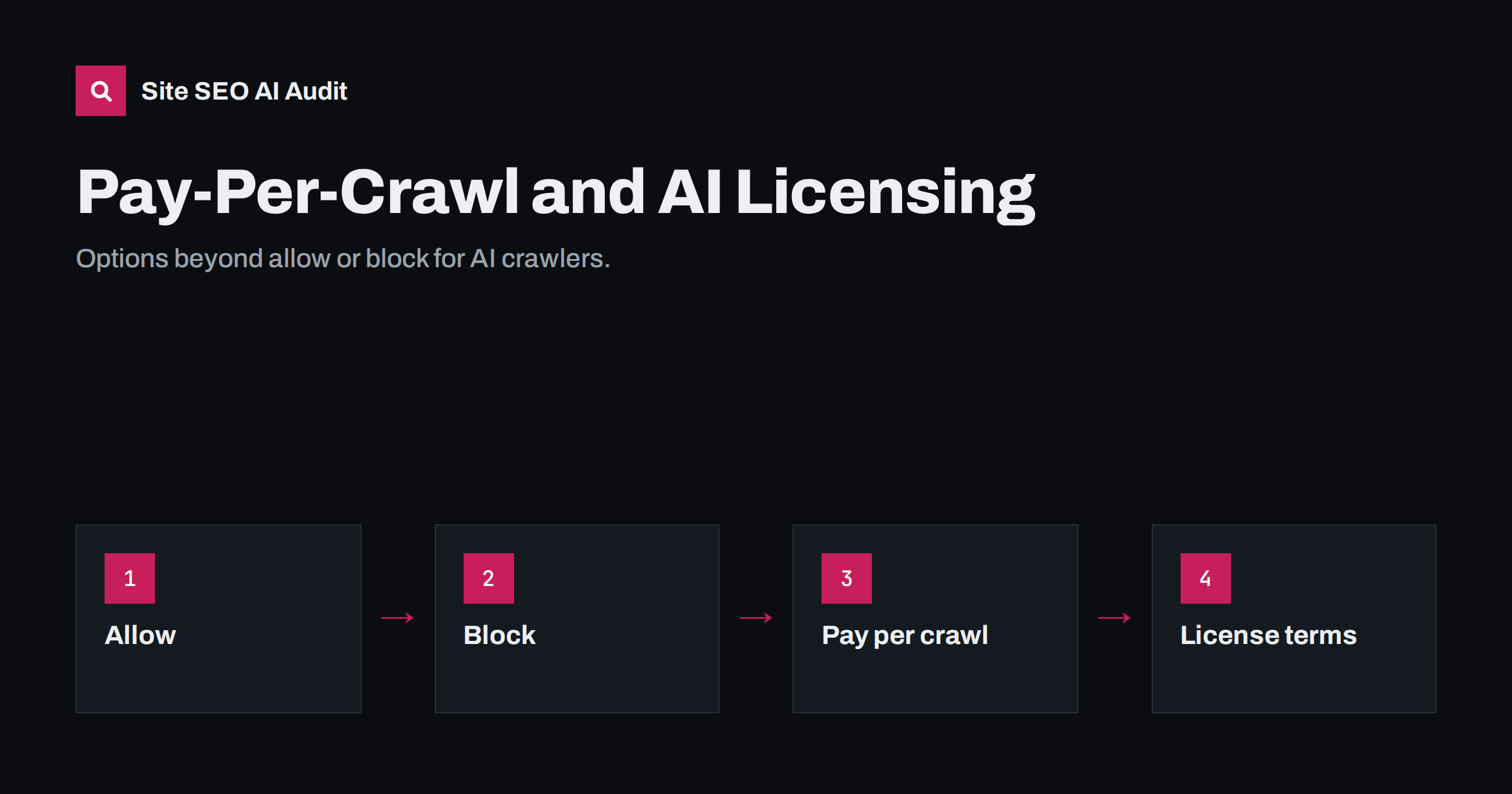 Pay-Per-Crawl and AI Licensing: Options for Site Owners
