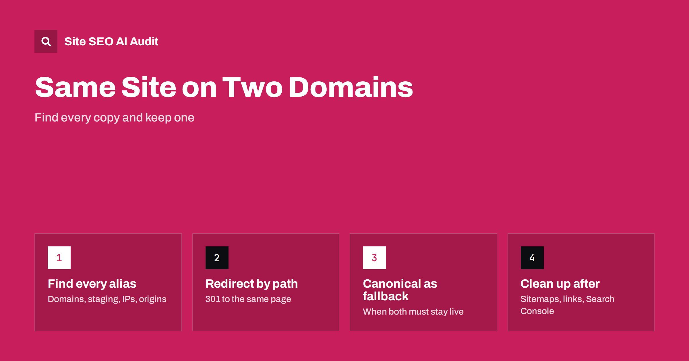 Same Site on Two Domains: Fixing Cross-Domain Duplicates